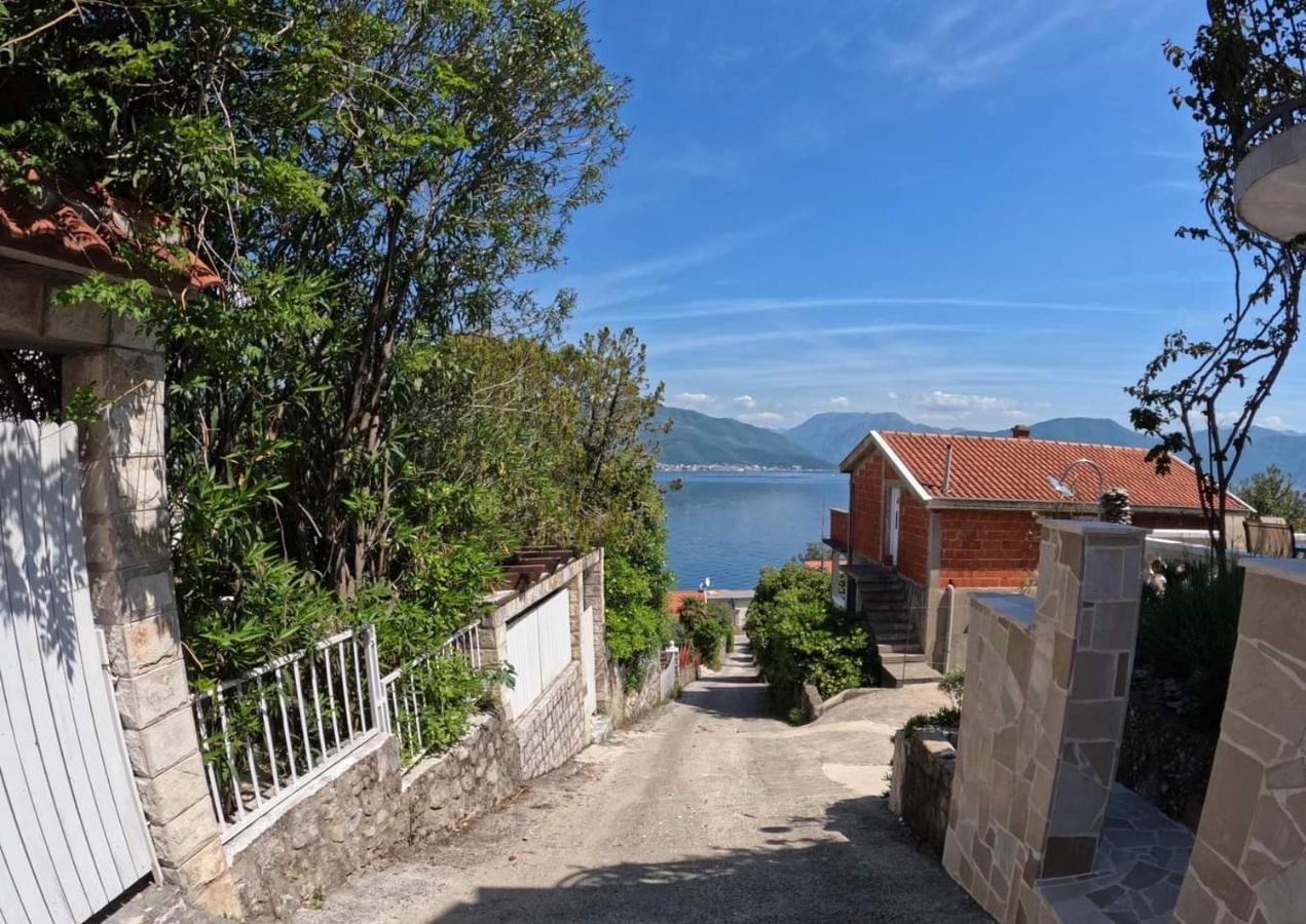 Apartments Obradovic Krasići Eksteriør billede