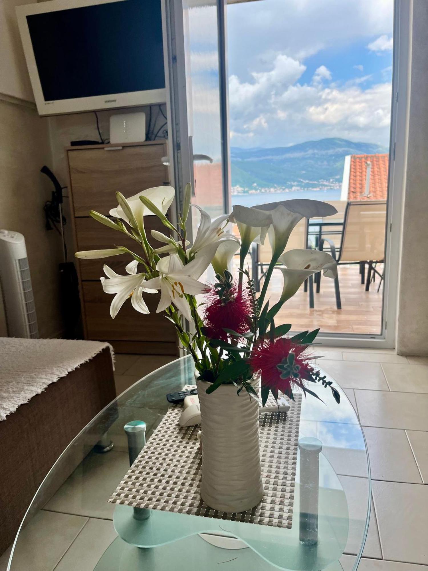Apartments Obradovic Krasići Værelse billede